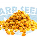carp seeds kukurydza