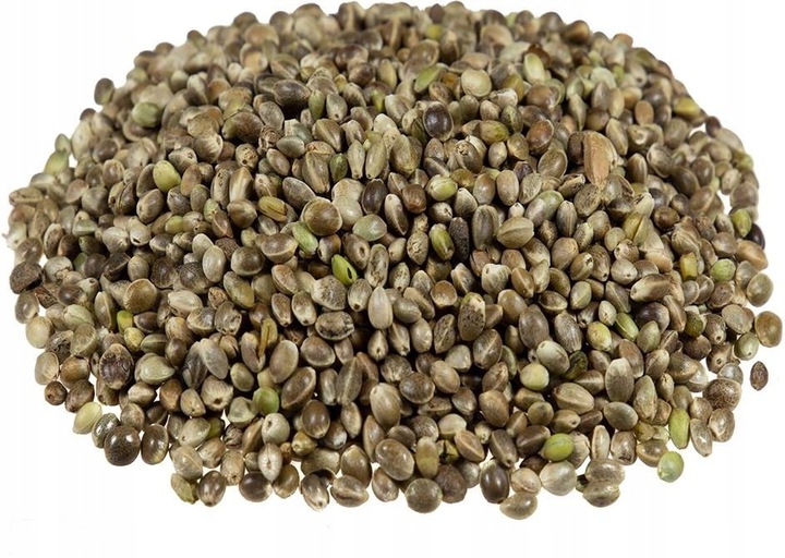 Carp-Seeds-Konopia-Konopie-Ziarno-10kg